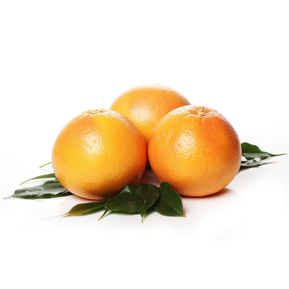 Orange Imported-image