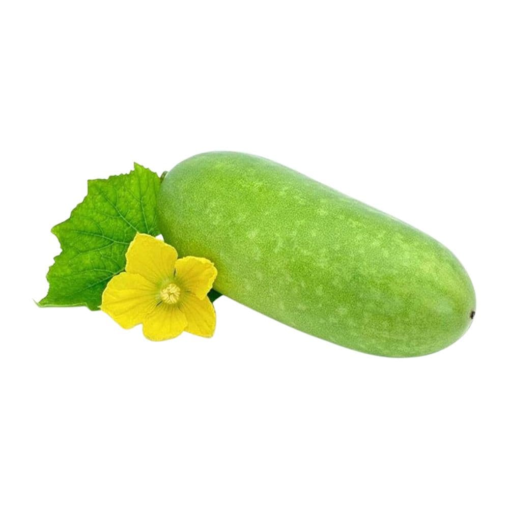Ash Gourd-image