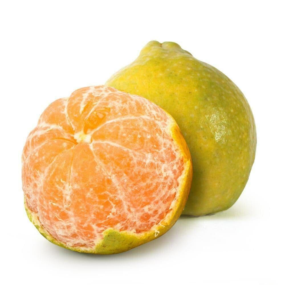 Orange Nagpur Premium-image