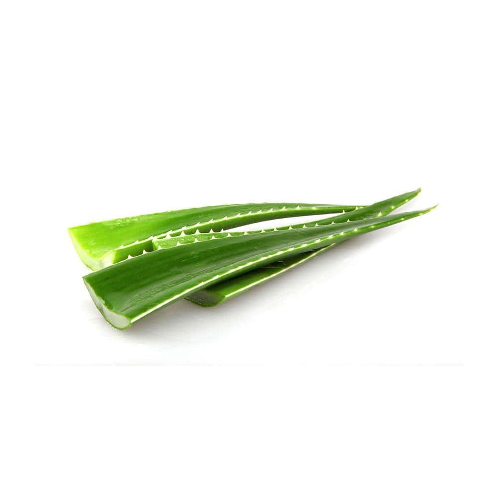 Aloe Vera-image