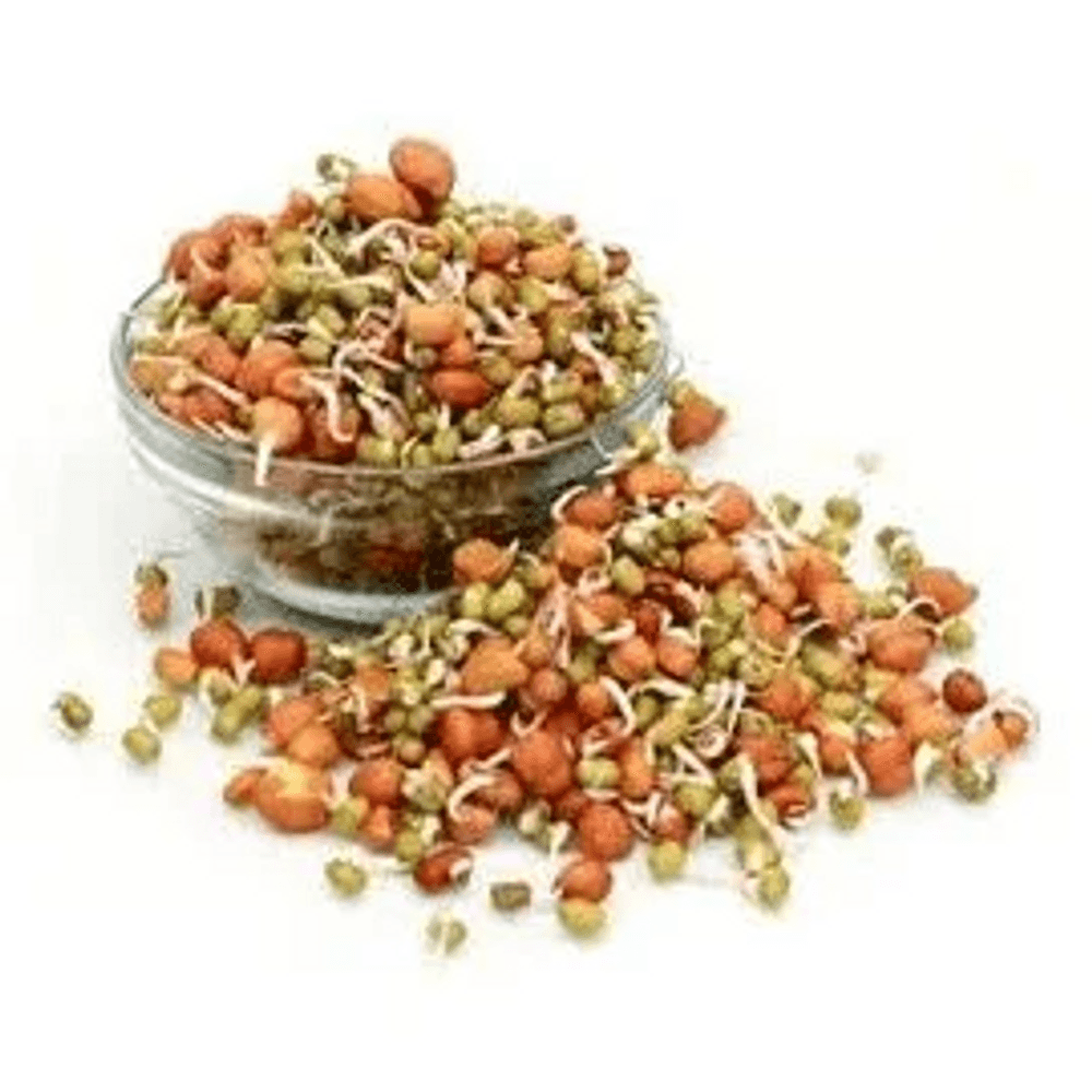 Mix Sprout Salad-image