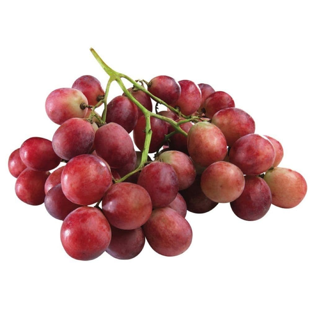 Grapes-Red Globe (Imported)-image