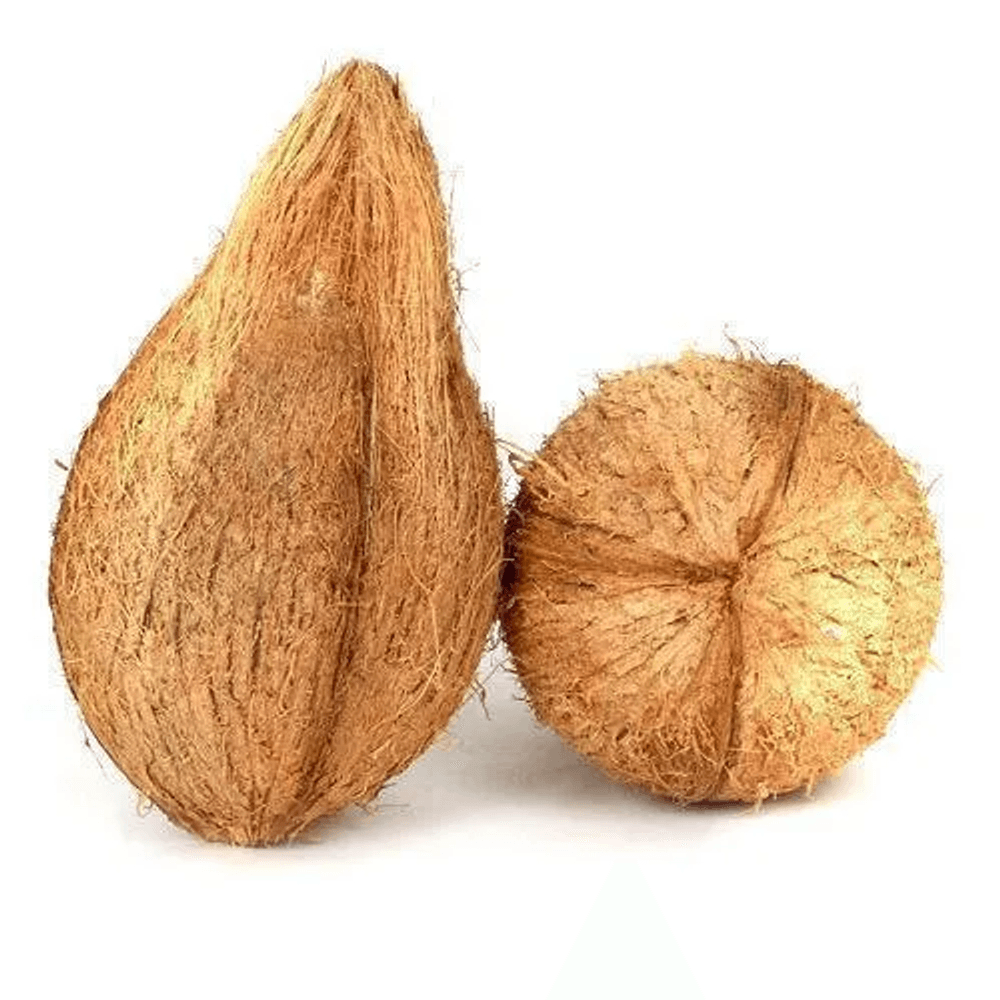 Pooja Coconut-image