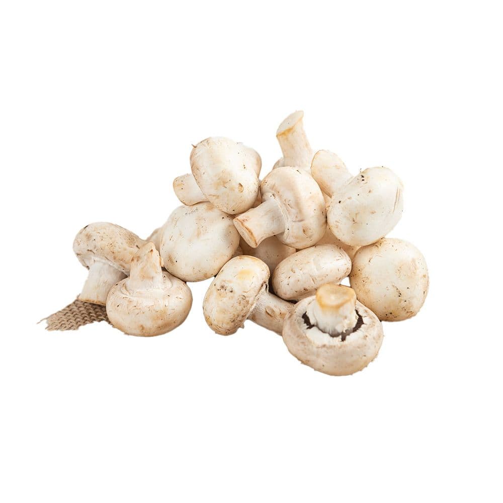 Button Mushroom-image