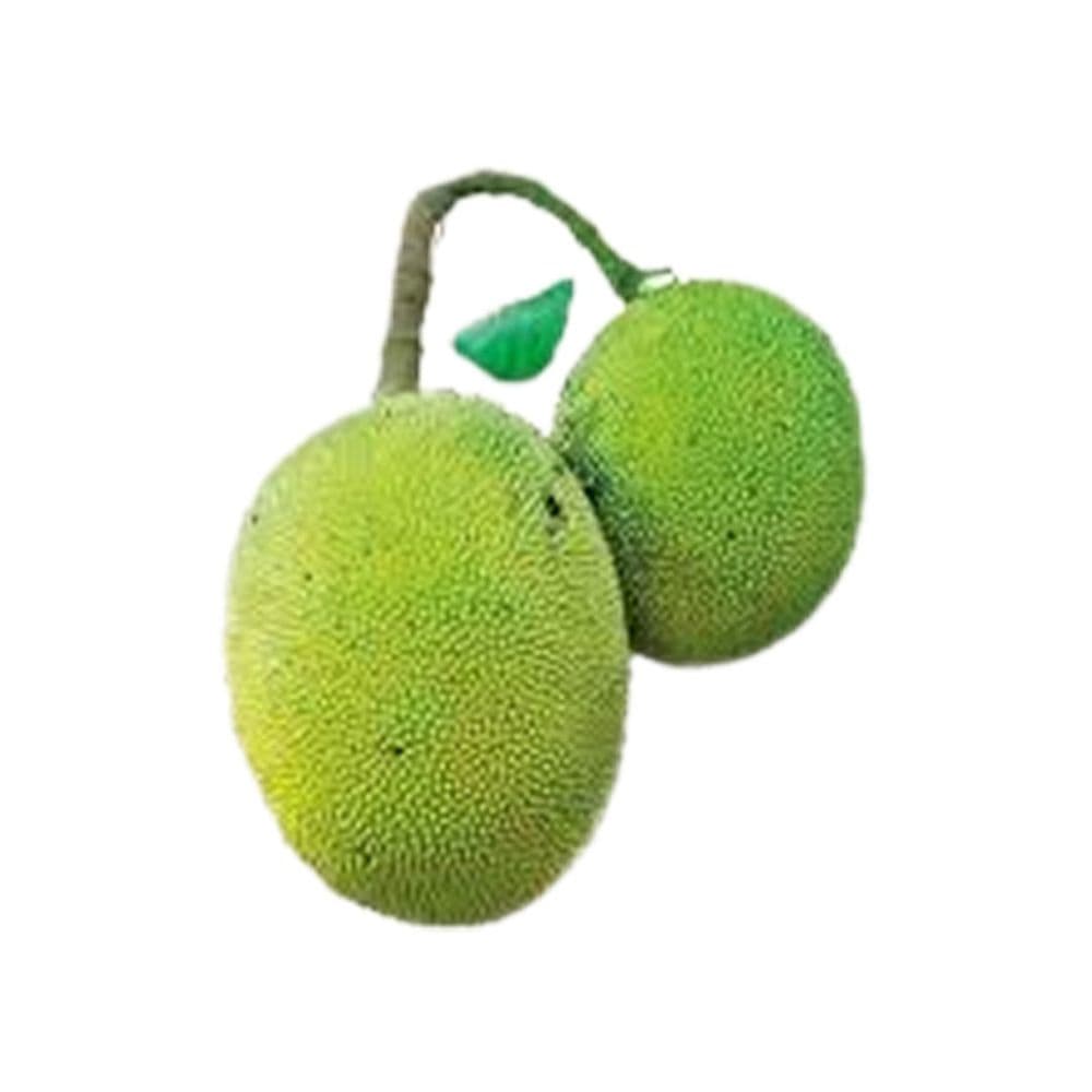 JackFruit-image