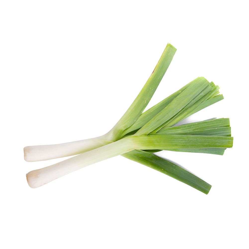Leek -image