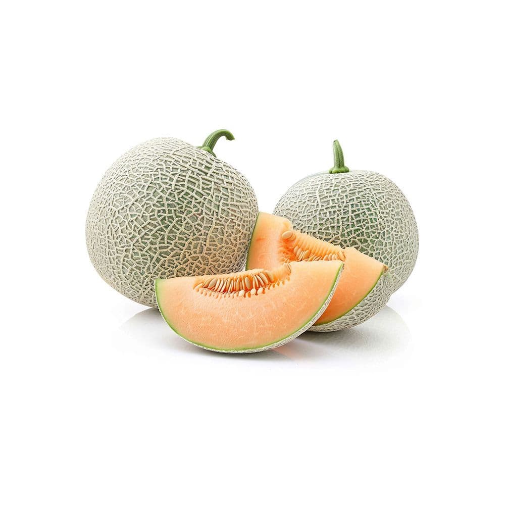 Musk Melon-image