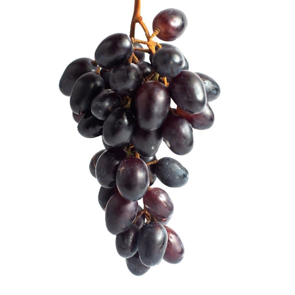 Grapes Black-image