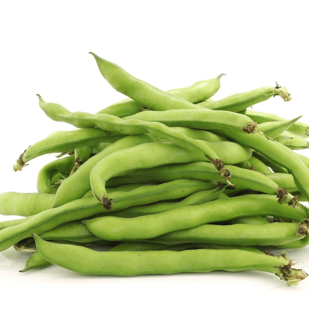 Broad Beans-image