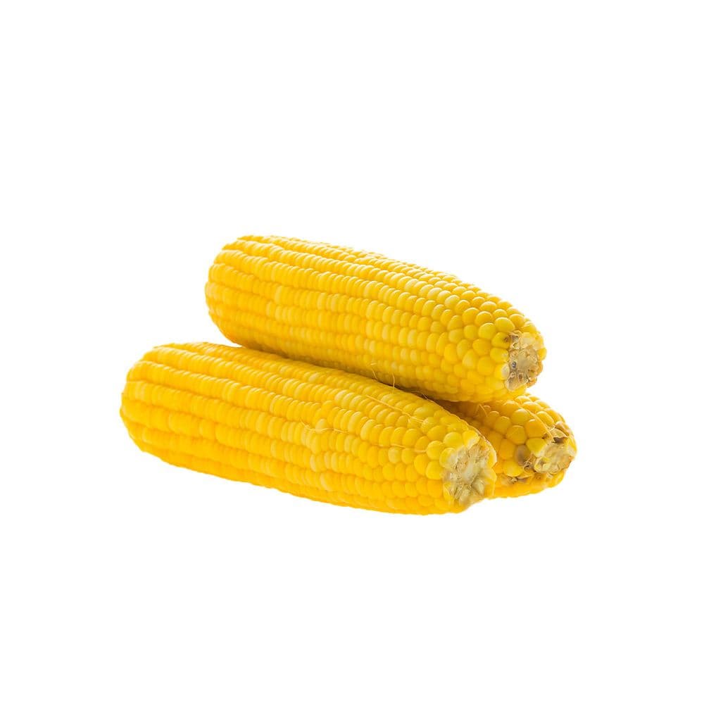 American Corn-image