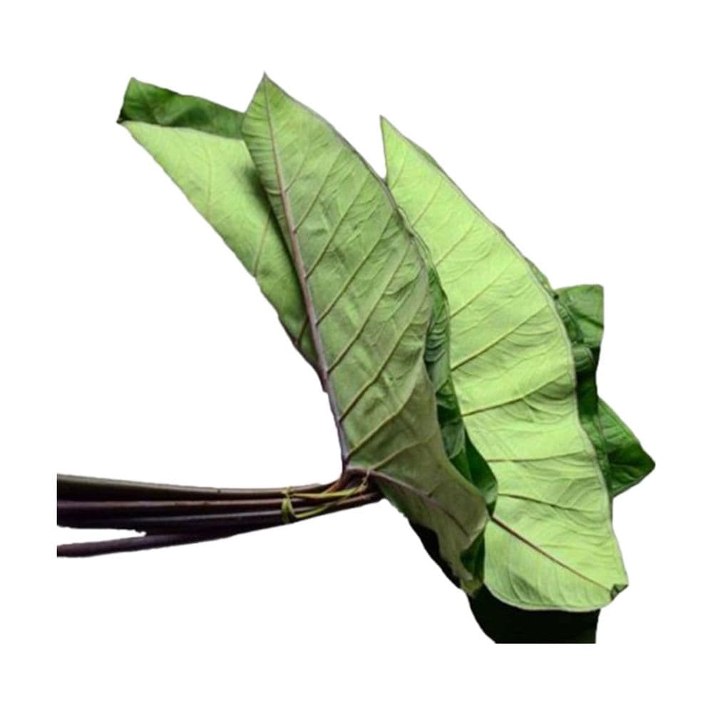 Arvi Leaves-image