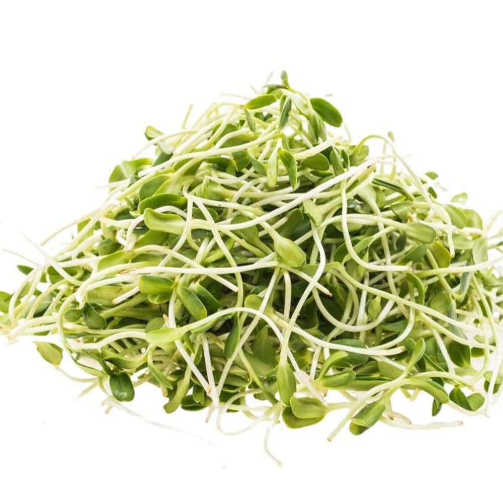 Beansprout-image