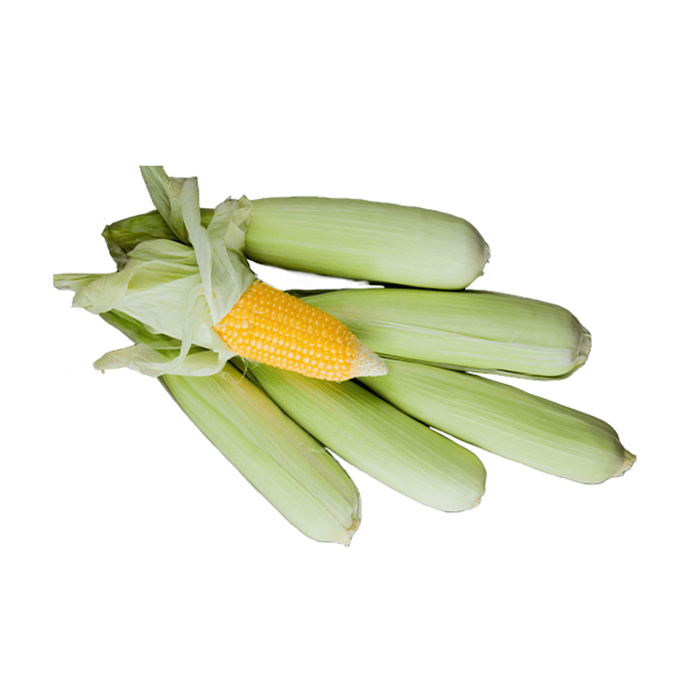 Sweet Corn -image