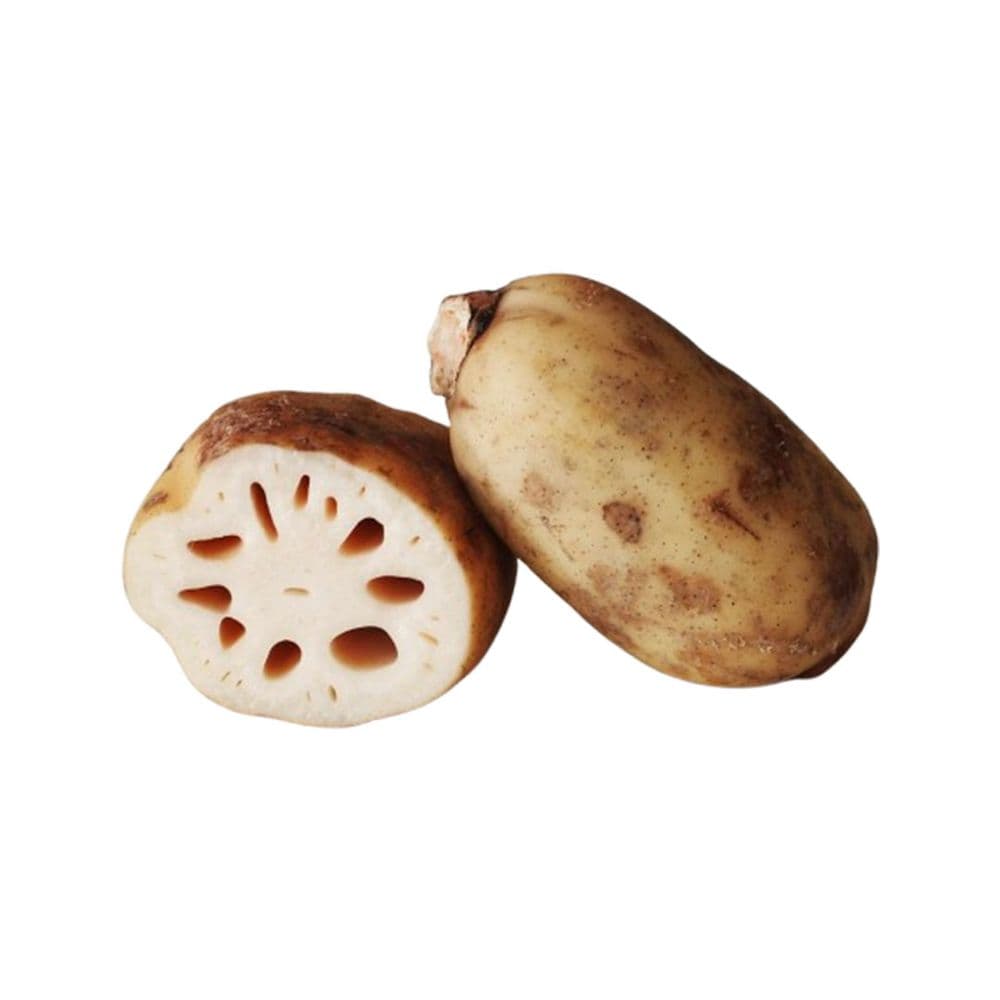 Lotus Root-image