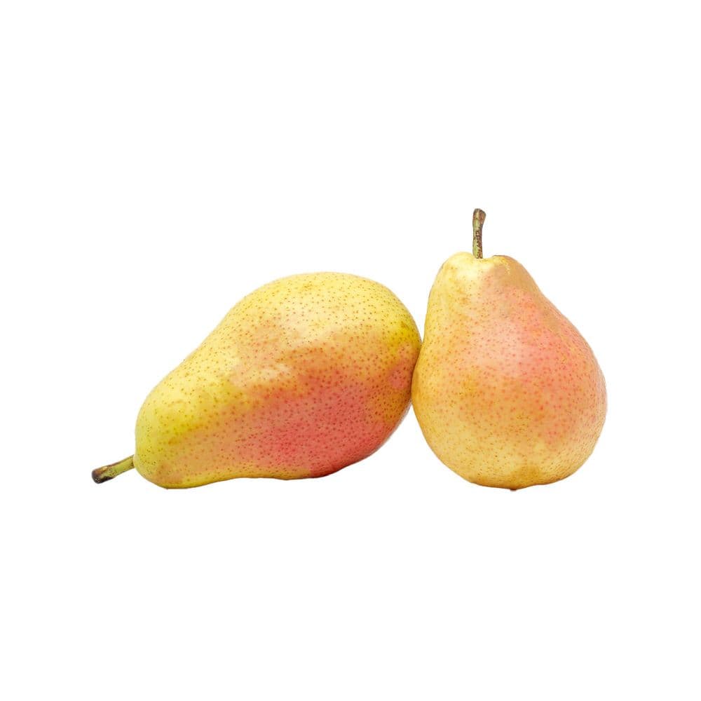 Pear Imported-image