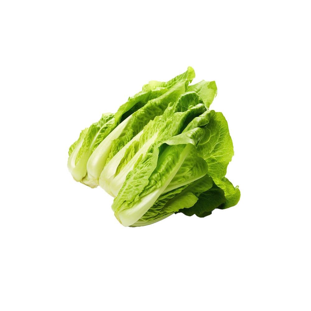 Romain Lettuce-image