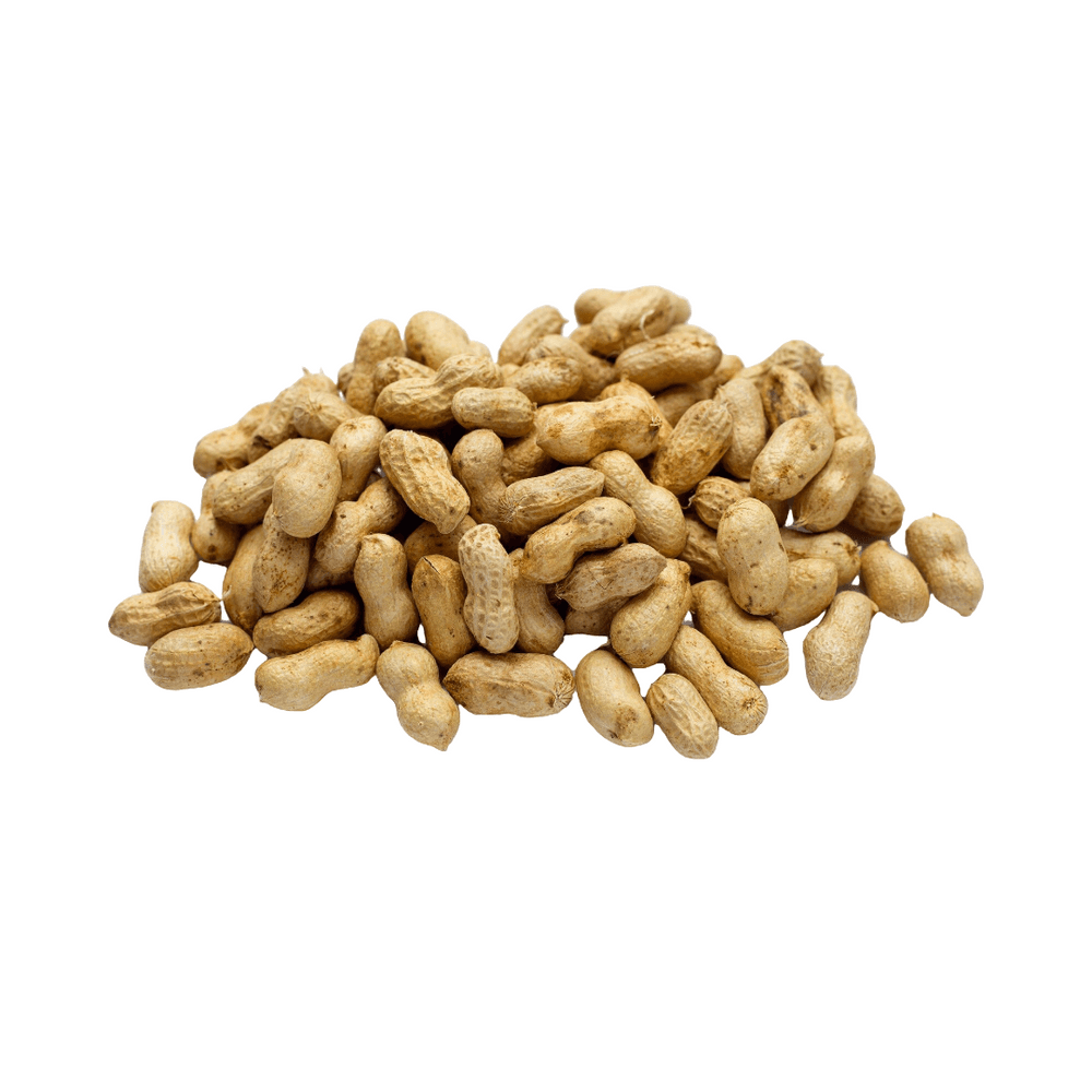 Dry Groundnut-image