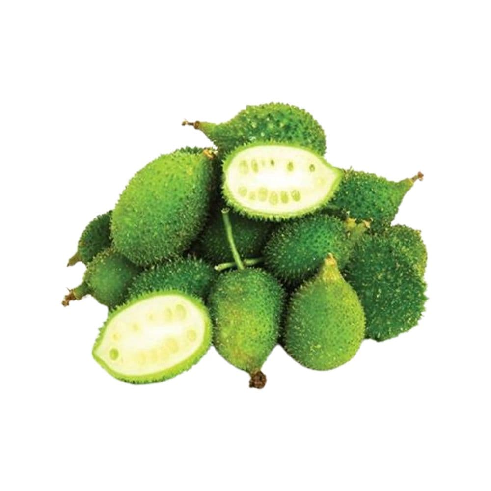 Forest Bittergourd-image