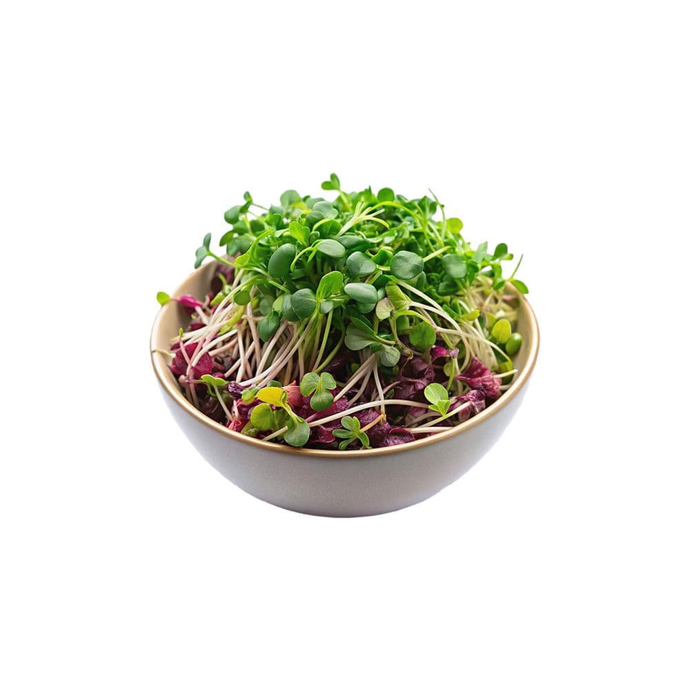 Mix Micro Green-image