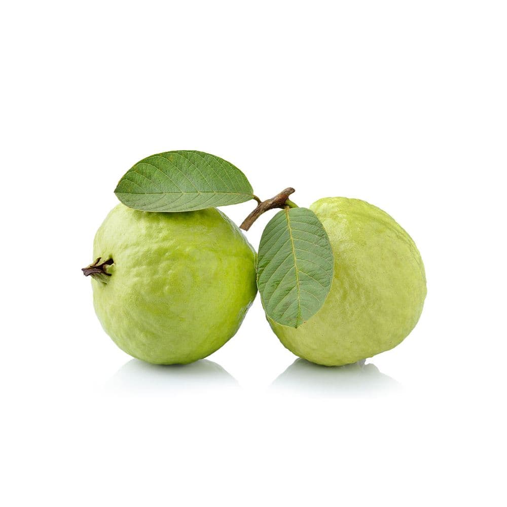 Guava-image