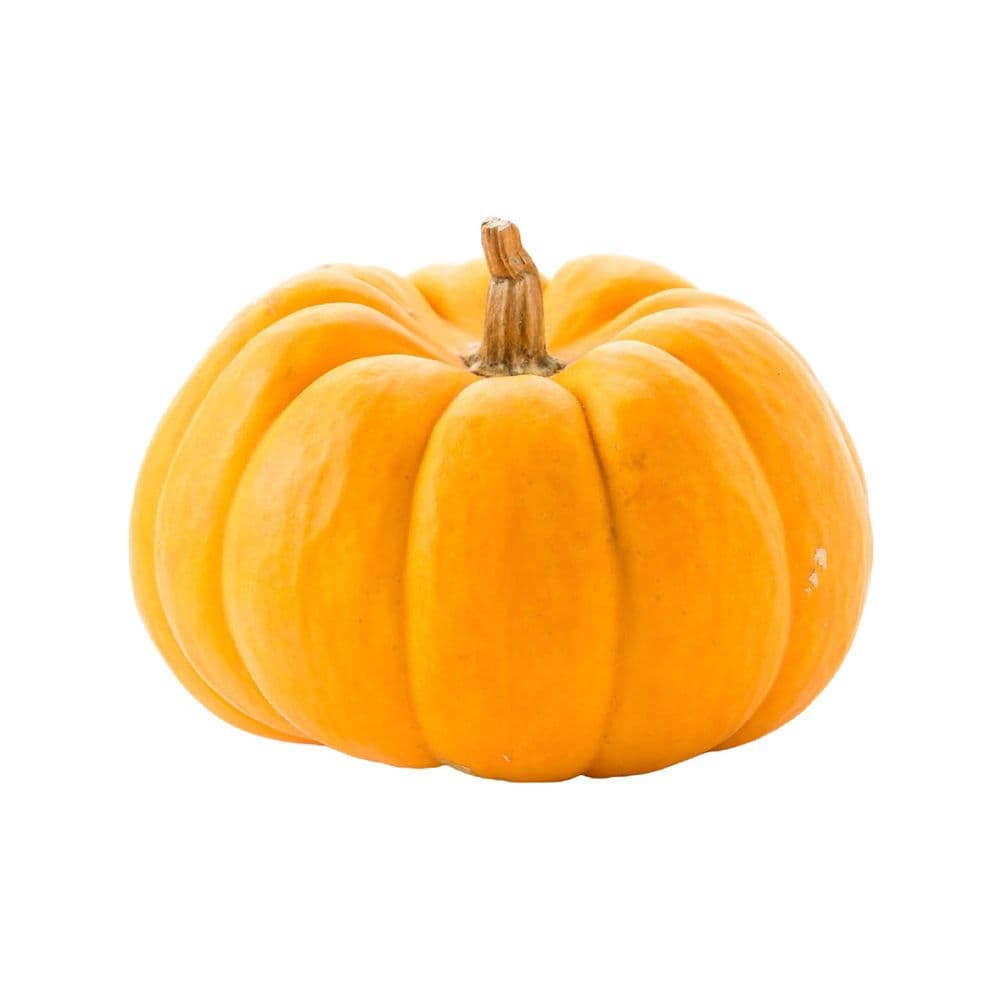 Disco Pumpkin-image