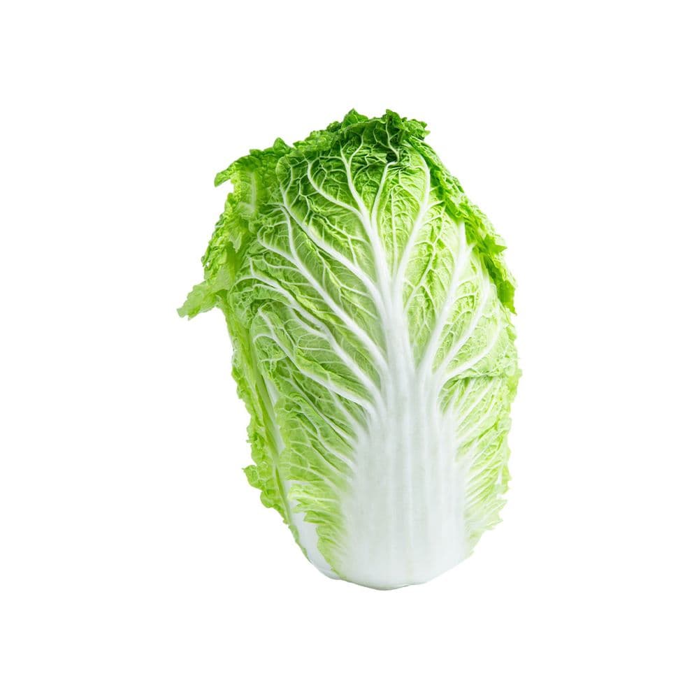Chinese Cabbage-image