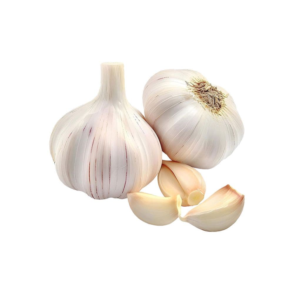 Garlic-image